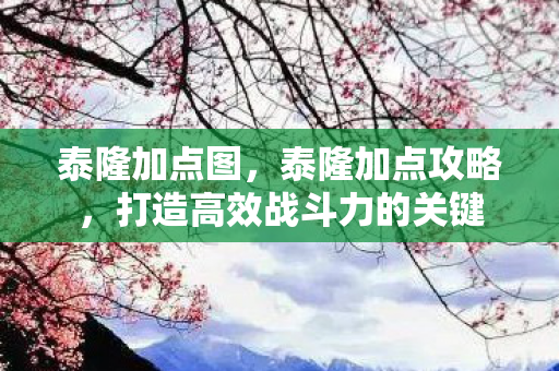 泰隆加点图,泰隆加点攻略,打造高效战斗力的关键 泰隆加点图,泰隆加点攻略,打造高效战斗力的关键
