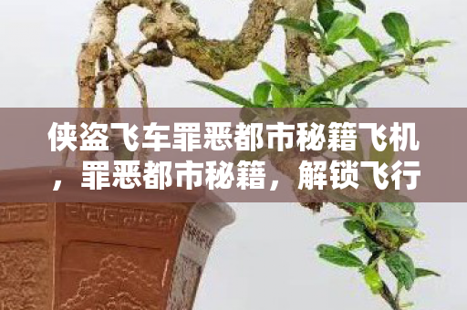 侠盗飞车罪恶都市秘籍飞机,罪恶都市秘籍,解锁飞行器的神秘技巧 侠盗飞车罪恶都市秘籍飞机,罪恶都市秘籍,解锁飞行器的神秘技巧