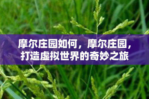 摩尔庄园如何，摩尔庄园，打造虚拟世界的奇妙之旅