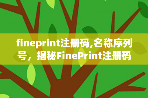 fineprint注册码,名称序列号，揭秘FinePrint注册码，合法使用与获取途径