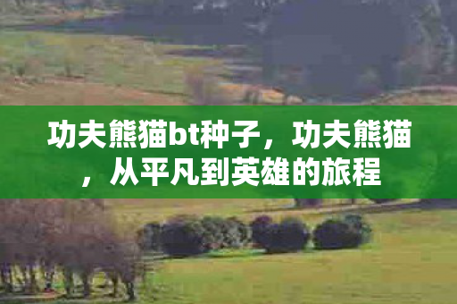 功夫熊猫bt种子，功夫熊猫，从平凡到英雄的旅程