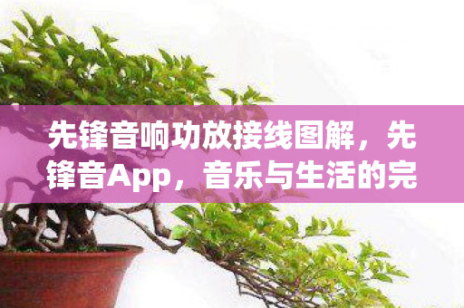 先锋音响功放接线图解，先锋音App，音乐与生活的完美融合