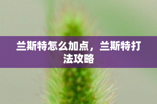 兰斯特怎么加点，兰斯特打法攻略