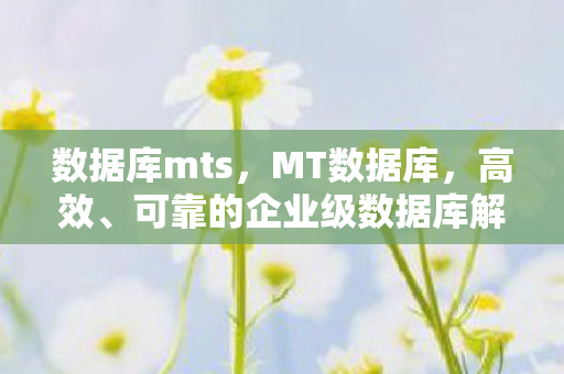 数据库mts，MT数据库，高效、可靠的企业级数据库解决方案