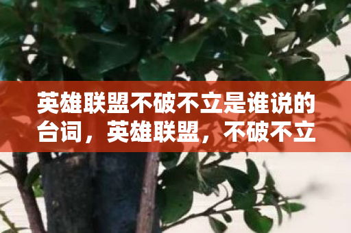 英雄联盟不破不立是谁说的台词，英雄联盟，不破不立，谁人敢言？