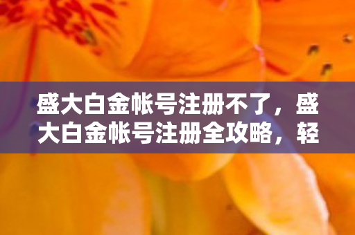 盛大白金帐号注册不了，盛大白金帐号注册全攻略，轻松开启你的游戏之旅