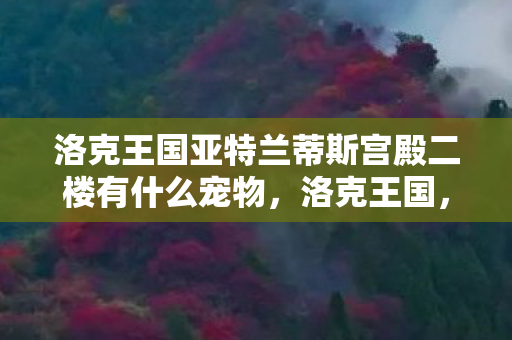 洛克王国亚特兰蒂斯宫殿二楼有什么宠物,洛克王国,亚特兰蒂斯宫殿的神秘之旅 洛克王国亚特兰蒂斯宫殿二楼有什么宠物,洛克王国,亚特兰蒂斯宫殿的神秘之旅