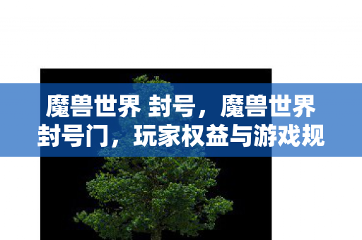 魔兽世界 封号,魔兽世界封号门,玩家权益与游戏规则的碰撞 魔兽世界 封号,魔兽世界封号门,玩家权益与游戏规则的碰撞