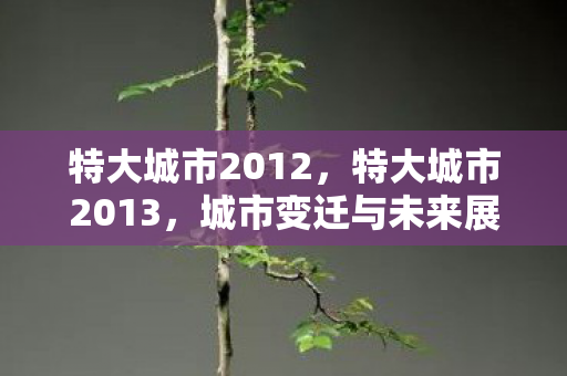 特大城市2012，特大城市2013，城市变迁与未来展望