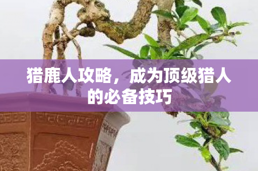 猎鹿人攻略，成为顶级猎人的必备技巧