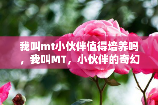 我叫mt小伙伴值得培养吗,我叫MT,小伙伴的奇幻之旅 我叫mt小伙伴值得培养吗,我叫MT,小伙伴的奇幻之旅