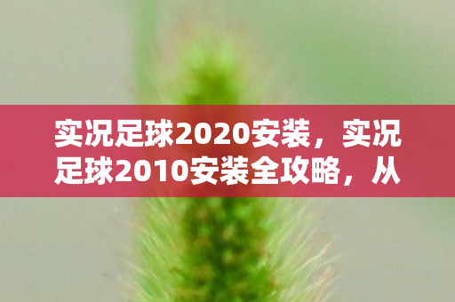 实况足球2020安装，实况足球2010安装全攻略，从下载到运行，一步不落！