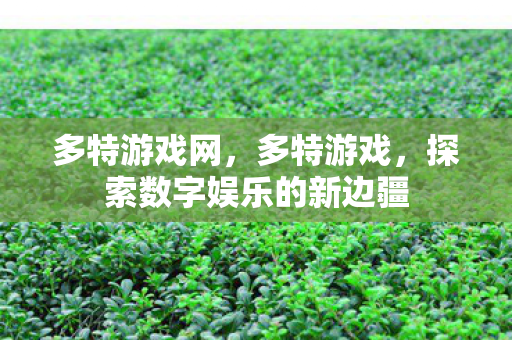 多特游戏网，多特游戏，探索数字娱乐的新边疆