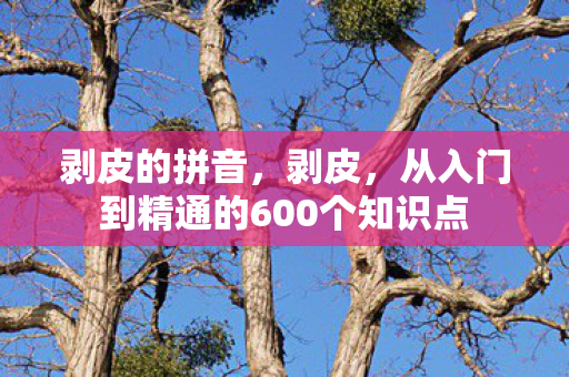 剥皮的拼音,剥皮,从入门到精通的600个知识点 剥皮的拼音,剥皮,从入门到精通的600个知识点