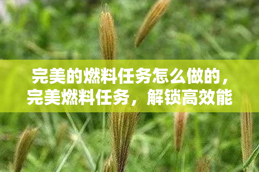 完美的燃料任务怎么做的，完美燃料任务，解锁高效能源解决方案的指南