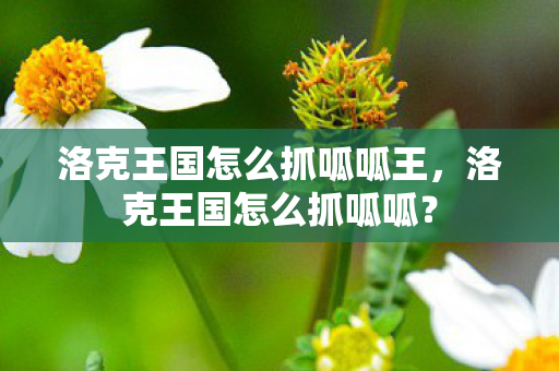 洛克王国怎么抓呱呱王,洛克王国怎么抓呱呱? 洛克王国怎么抓呱呱王,洛克王国怎么抓呱呱?