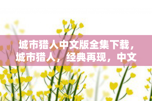 城市猎人中文版全集下载,城市猎人,经典再现,中文版全集的魅力探索 城市猎人中文版全集下载,城市猎人,经典再现,中文版全集的魅力探索