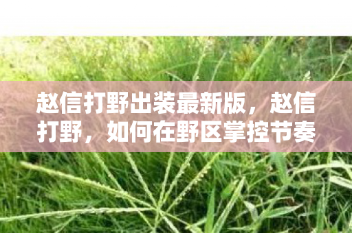 赵信打野出装最新版，赵信打野，如何在野区掌控节奏