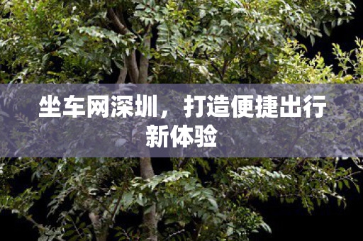 坐车网深圳,打造便捷出行新体验 坐车网深圳,打造便捷出行新体验