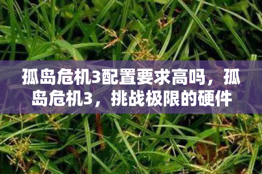 孤岛危机3配置要求高吗，孤岛危机3，挑战极限的硬件需求