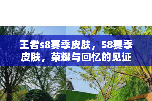 王者s8赛季皮肤,S8赛季皮肤,荣耀与回忆的见证 王者s8赛季皮肤,S8赛季皮肤,荣耀与回忆的见证