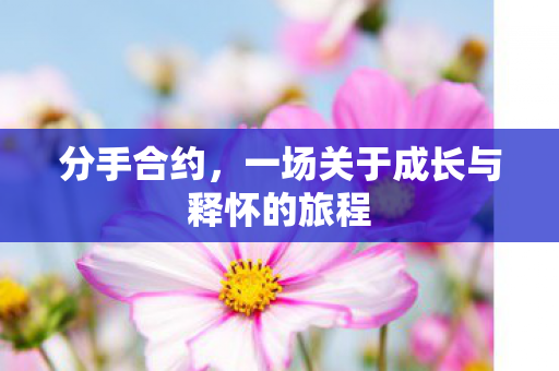 分手合约,一场关于成长与释怀的旅程 分手合约,一场关于成长与释怀的旅程