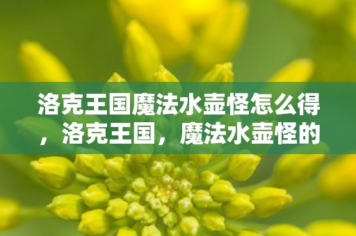 洛克王国魔法水壶怪怎么得，洛克王国，魔法水壶怪的神秘传说