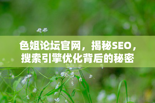 色姐论坛官网，揭秘SEO，搜索引擎优化背后的秘密