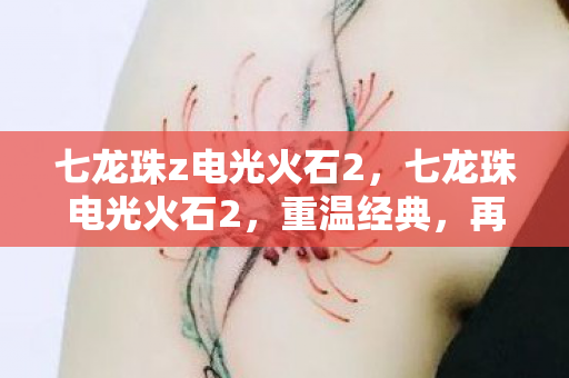 七龙珠z电光火石2，七龙珠电光火石2，重温经典，再燃热血