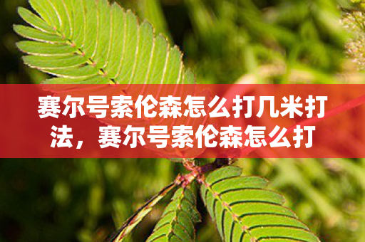赛尔号索伦森怎么打几米打法,赛尔号索伦森怎么打 赛尔号索伦森怎么打几米打法,赛尔号索伦森怎么打