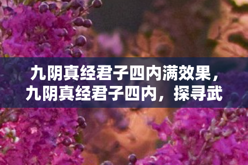 九阴真经君子四内满效果，九阴真经君子四内，探寻武侠世界的奥秘