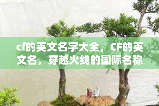 cf的英文名字大全，CF的英文名，穿越火线的国际名称解析