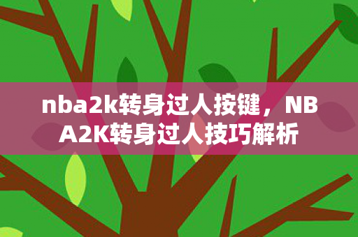 nba2k转身过人按键,NBA2K转身过人技巧解析 nba2k转身过人按键,NBA2K转身过人技巧解析