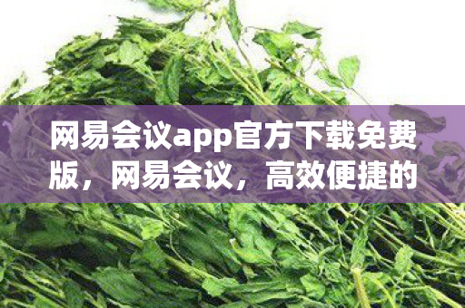 网易会议app官方下载免费版，网易会议，高效便捷的云端协作工具