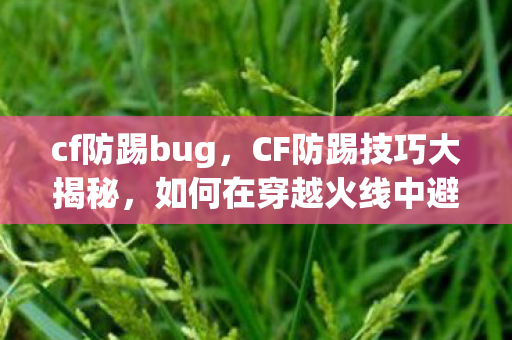 cf防踢bug，CF防踢技巧大揭秘，如何在穿越火线中避免被踢出游戏