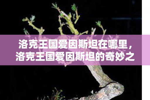 洛克王国爱因斯坦在哪里,洛克王国爱因斯坦的奇妙之旅 洛克王国爱因斯坦在哪里,洛克王国爱因斯坦的奇妙之旅