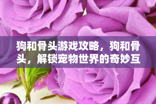 狗和骨头游戏攻略,狗和骨头,解锁宠物世界的奇妙互动 狗和骨头游戏攻略,狗和骨头,解锁宠物世界的奇妙互动