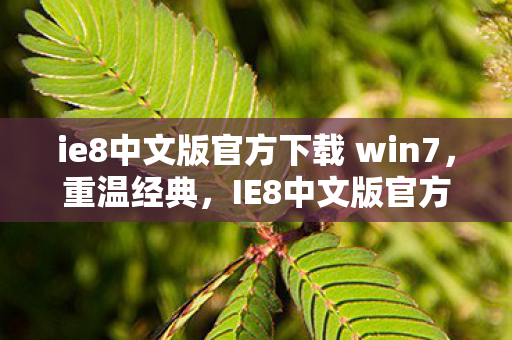 ie8中文版官方下载 win7，重温经典，IE8中文版官方XP的辉煌与回忆