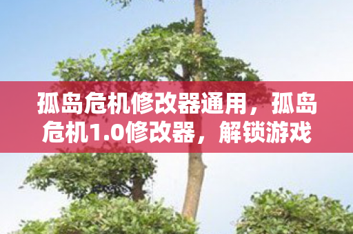 孤岛危机修改器通用，孤岛危机1.0修改器，解锁游戏新体验