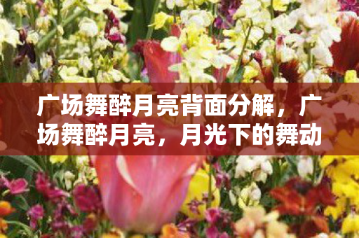 广场舞醉月亮背面分解，广场舞醉月亮，月光下的舞动与情感