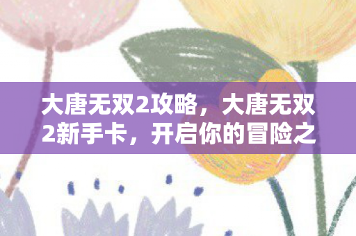 大唐无双2攻略，大唐无双2新手卡，开启你的冒险之旅