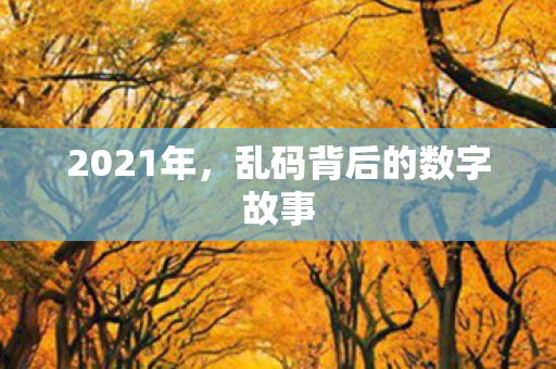 2021年，乱码背后的数字故事