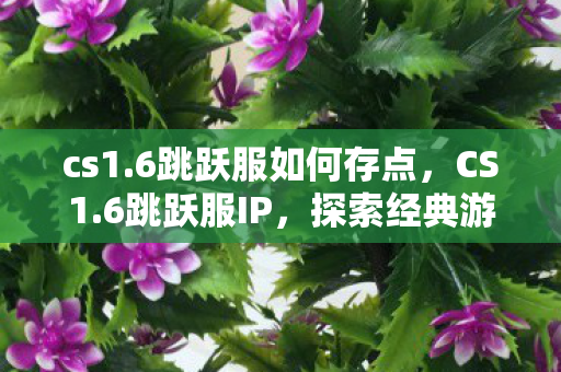 cs1.6跳跃服如何存点,CS1.6跳跃服IP,探索经典游戏的另类玩法 cs1.6跳跃服如何存点,CS1.6跳跃服IP,探索经典游戏的另类玩法
