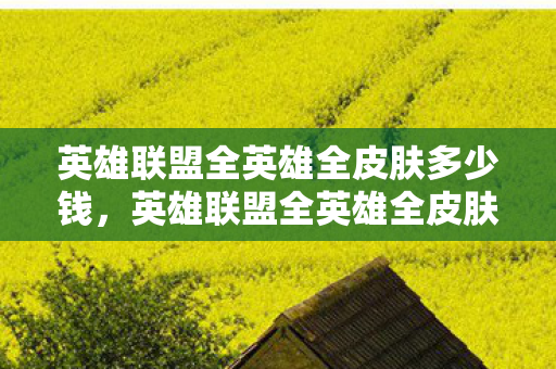 英雄联盟全英雄全皮肤多少钱，英雄联盟全英雄全皮肤，解锁之路与价格分析