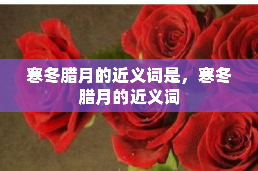 寒冬腊月的近义词是，寒冬腊月的近义词