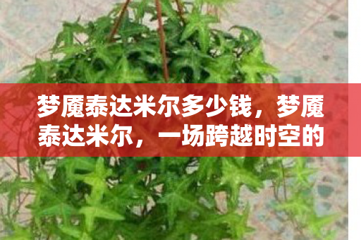 梦魇泰达米尔多少钱,梦魇泰达米尔,一场跨越时空的冒险之旅 梦魇泰达米尔多少钱,梦魇泰达米尔,一场跨越时空的冒险之旅