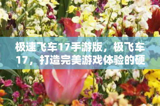 极速飞车17手游版，极飞车17，打造完美游戏体验的硬件配置指南