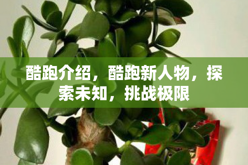 酷跑介绍，酷跑新人物，探索未知，挑战极限