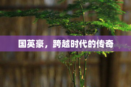 国英豪,跨越时代的传奇 国英豪,跨越时代的传奇