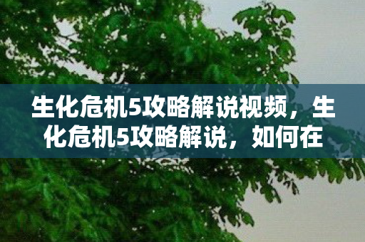 生化危机5攻略解说视频,生化危机5攻略解说,如何在危机四伏的世界中生存 生化危机5攻略解说视频,生化危机5攻略解说,如何在危机四伏的世界中生存
